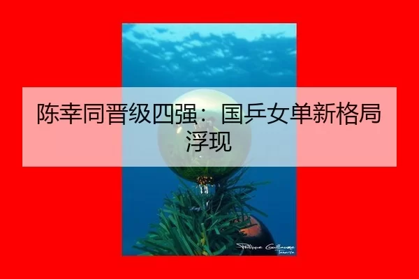 陈幸同晋级四强：国乒女单新格局浮现